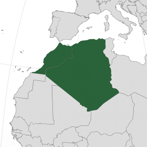 Algerien – Naturstein online kaufen