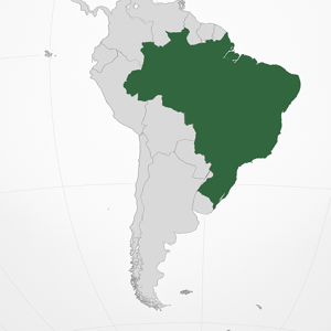 Mineralien und Edelsteine aus Brasilien