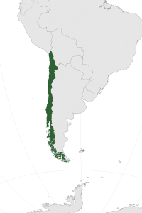 Mineralien und Edelsteine aus Chile