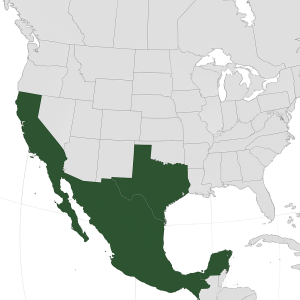 Mineralien und Edelsteine aus Mexiko