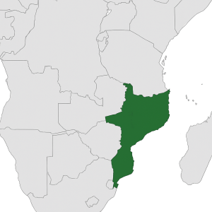 Mineralien und Edelsteine aus Mosambik