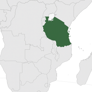 Mineralien und Edelsteine aus Tansania