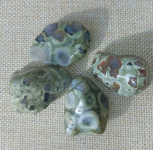 Foto von Trommelsteine Rhyolith (Australien) – Naturstein Edelstein Mineralien