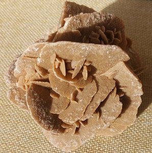 Sandrose (Algerien) – Naturstein, Edelstein, Mineralien, Sammlerstück.