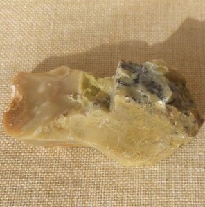 Versteinertes Holz (Opal, Indonesien)
