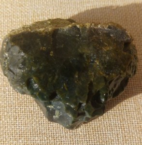 Versteinerte Koralle (Indonesien)