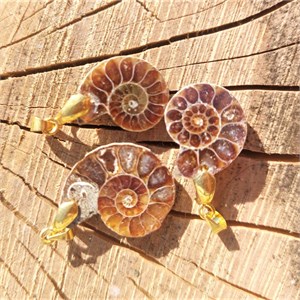 Anhänger Ammonit Madagaskar – Anhänger online kaufen