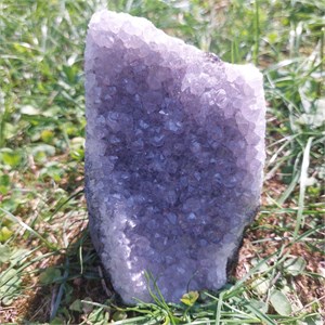 Druse_Amethyst250149_2