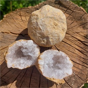 Geoden-Paare_Quarz250152_2