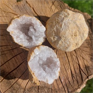 Geoden-Paare_Quarz250152_3