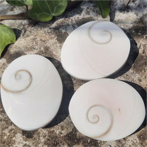 Perlmutt St. Lucia Madagaskar – Trommelsteine online kaufen