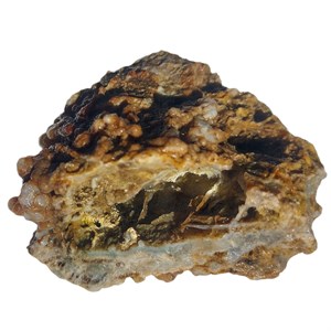 Trauben_Chalzedon250139_3