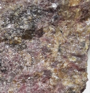 photo_1_2025-05-13_15-07-228