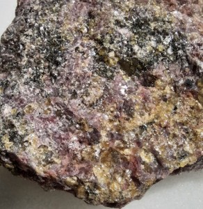 photo_2_2025-05-13_15-07-221